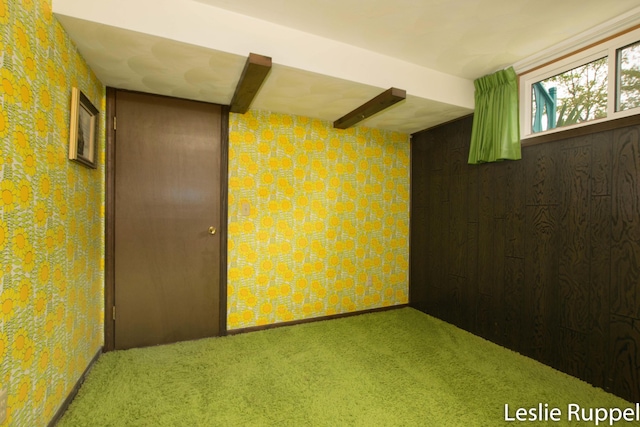 6221 Honeymoon Dr, Lakeview, MI 48850 - basement with carpet floors and wallpapered walls