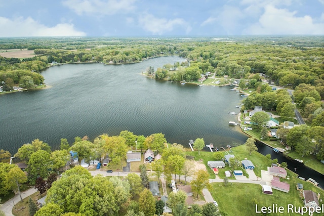 6221 Honeymoon Dr, Lakeview, MI 48850 - drone / aerial view of a large body of water and a forest