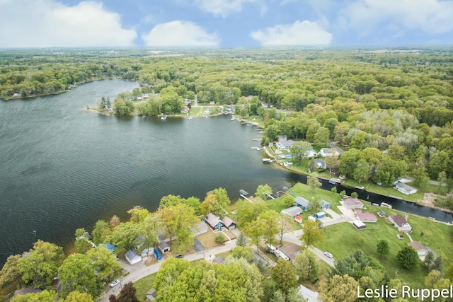 6221 Honeymoon Dr, Lakeview, MI 48850 - view of property location with a heavily wooded area and a nearby body of water