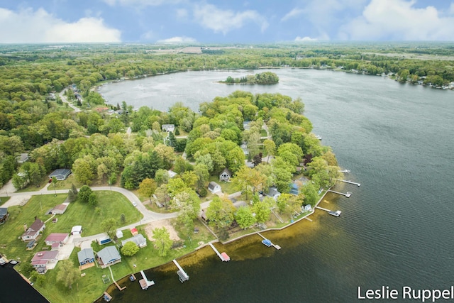 6221 Honeymoon Dr, Lakeview, MI 48850 - view of property location with a nearby body of water and a heavily wooded area