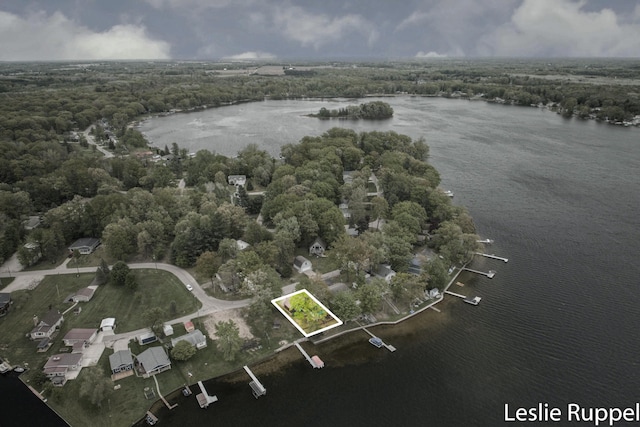 6221 Honeymoon Dr, Lakeview, MI 48850 - aerial view of property and surrounding area featuring property boundaries highlighted and a large body of water