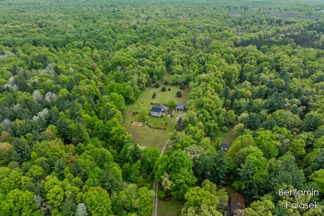 5826 W 124th St, Grant, MI 49327 - aerial view of a heavily wooded area