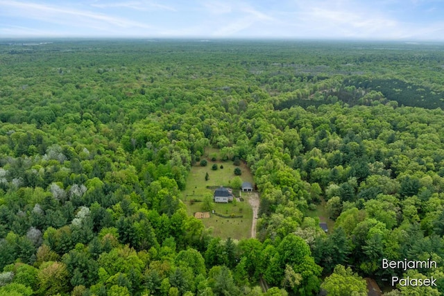 5826 W 124th St, Grant, MI 49327 - drone / aerial view of a heavily wooded area