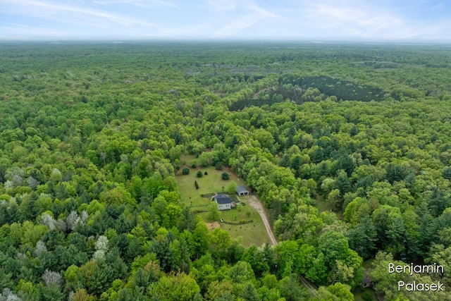 5826 W 124th St, Grant, MI 49327 - aerial view of a heavily wooded area