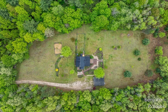 5826 W 124th St, Grant, MI 49327 - drone / aerial view