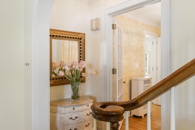 18957 N Fruitport Rd, Spring Lake, MI 49456 - hallway with ornamental molding and wood finished floors