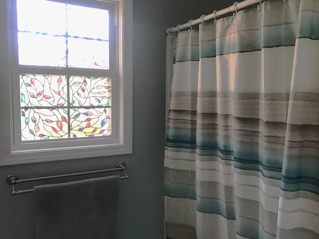 5883 Thistlewood Ave, Scotts, MI 49088 - bathroom featuring plenty of natural light and curtained shower