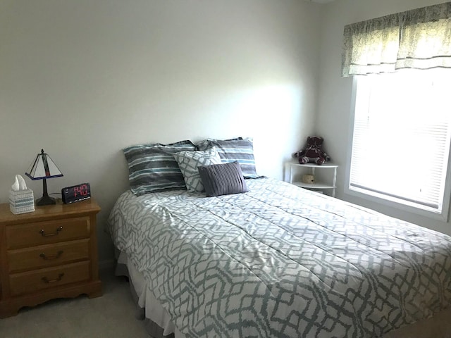 5883 Thistlewood Ave, Scotts, MI 49088 - bedroom with carpet floors