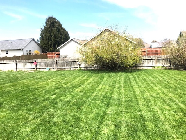 5883 Thistlewood Ave, Scotts, MI 49088 - view of yard