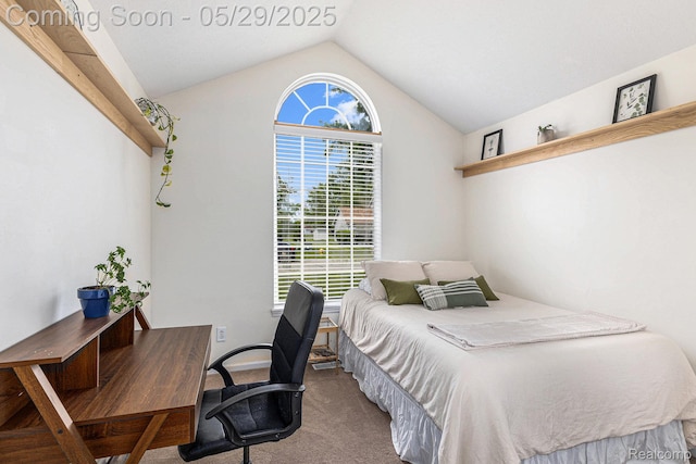 1411 Vollar Dr, Flint, MI 48532 - bedroom with carpet floors, lofted ceiling, and an office area