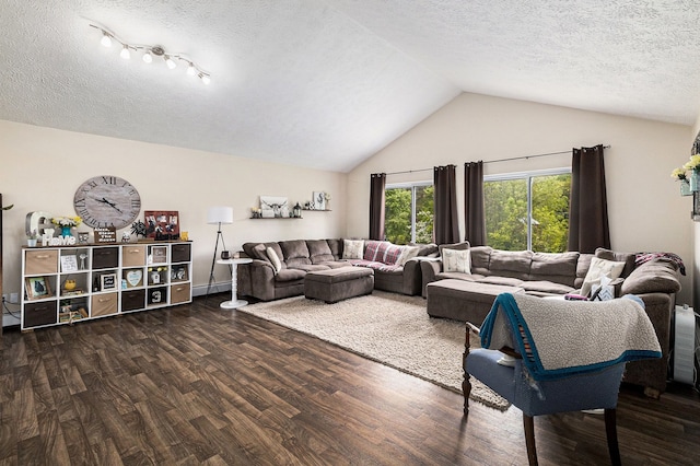 1977 Shipman Rd, Oxford, MI 48371 - living room with lofted ceiling, wood finished floors, and a textured ceiling