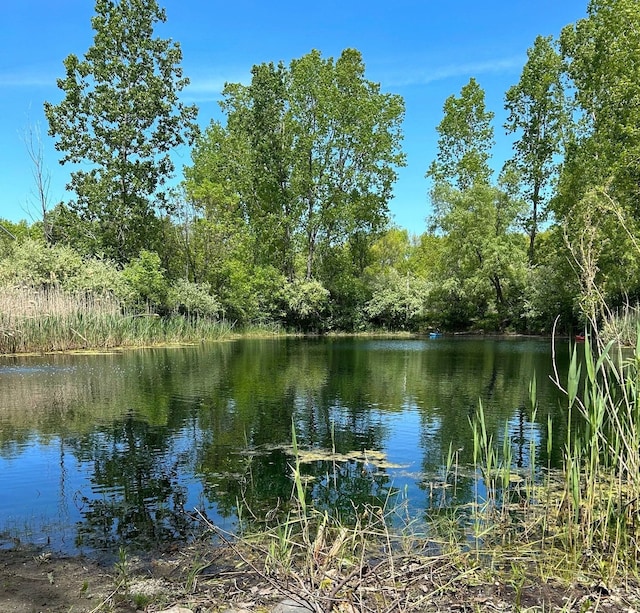 1977 Shipman Rd, Oxford, MI 48371 - water view with a forest