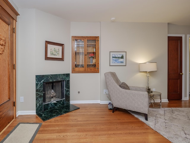 471 W S St Unit 207, Kalamazoo, MI 49007 - living area with wood finished floors, baseboards, and a fireplace