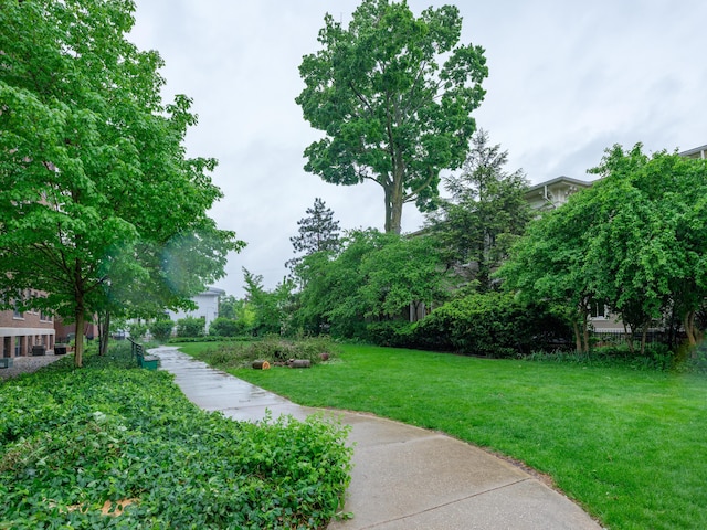 471 W S St Unit 207, Kalamazoo, MI 49007 - view of home's community with a yard