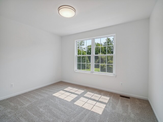 46840 Timberland St, Belleville, MI 48111 - photo 19