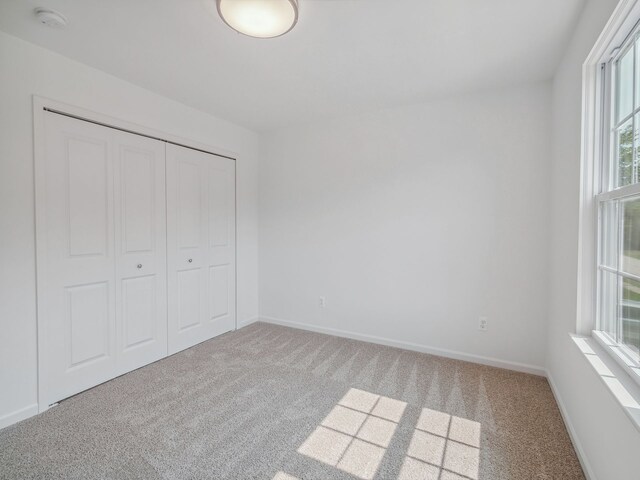 46840 Timberland St, Belleville, MI 48111 - photo 20