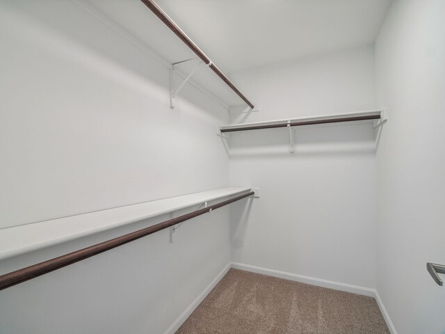 46840 Timberland St, Belleville, MI 48111 - photo 24
