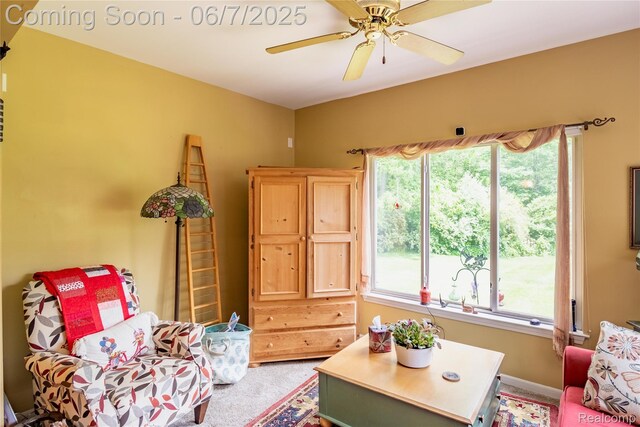 6327 Sequoia Dr, Ypsilanti, MI 48197 - photo 16