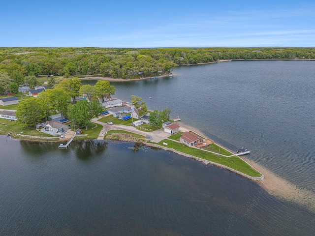 7394 N Keating Dr, Walkerville, MI 49459 - aerial view of property and surrounding area featuring a large body of water and a forest