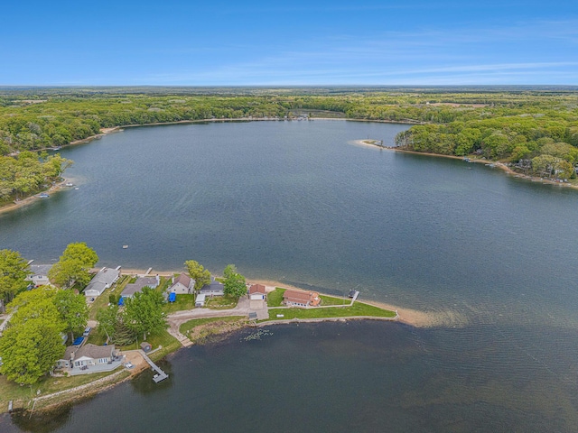 7394 N Keating Dr, Walkerville, MI 49459 - view of property location featuring a heavily wooded area and a large body of water