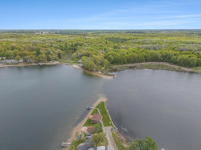 7394 N Keating Dr, Walkerville, MI 49459 - aerial view of a forest and a nearby body of water
