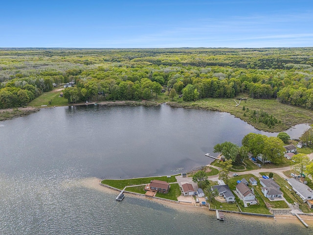 7394 N Keating Dr, Walkerville, MI 49459 - aerial overview of property's location featuring a nearby body of water and a forest