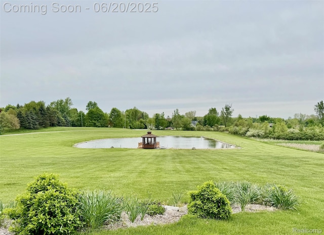 4400 Dryden Rd, Dryden, MI 48428 - photo 11