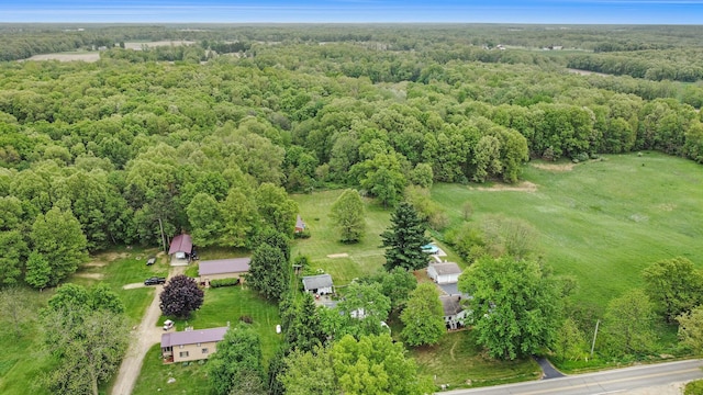 11713 Rountree Rd, Hanover, MI 49241 - photo 24