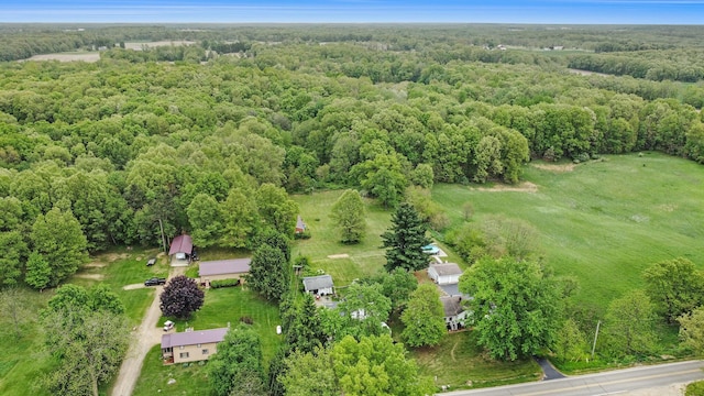 11713 Rountree Rd, Hanover, MI 49241 - photo 26