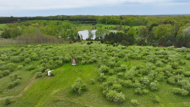 17793 7 Mile Rd, Reed City, MI 49677 - photo 53