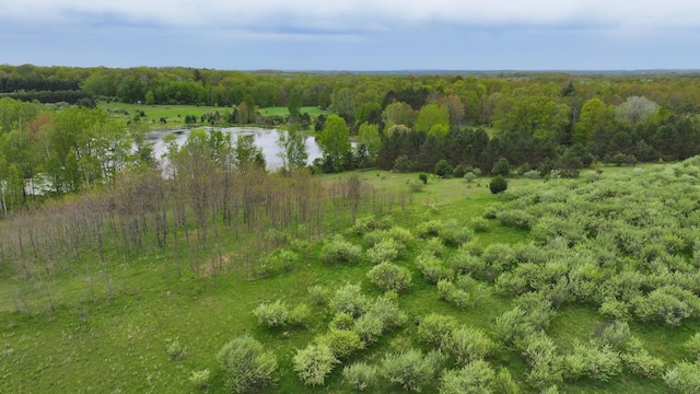 17793 7 Mile Rd, Reed City, MI 49677 - photo 59