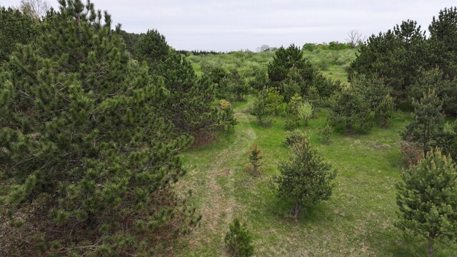 17793 7 Mile Rd, Reed City, MI 49677 - photo 58