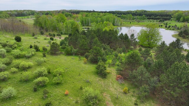 17793 7 Mile Rd, Reed City, MI 49677 - photo 57