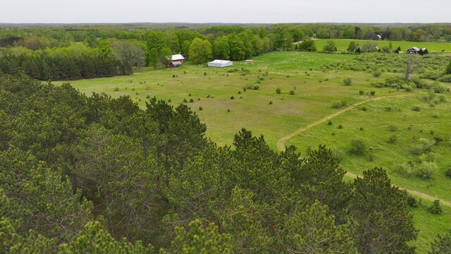 17793 7 Mile Rd, Reed City, MI 49677 - photo 63