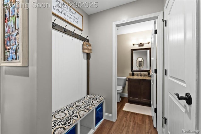 6035 Beard Rd, Byron, MI 48418 - mudroom with dark wood finished floors, a sink, and baseboards