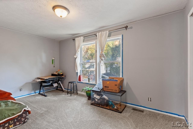 10623 Springville Hwy, Onsted, MI 49265 - rec room with carpet, a textured ceiling, and baseboards