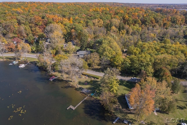 10623 Springville Hwy, Onsted, MI 49265 - aerial overview of property's location featuring a forest and a large body of water
