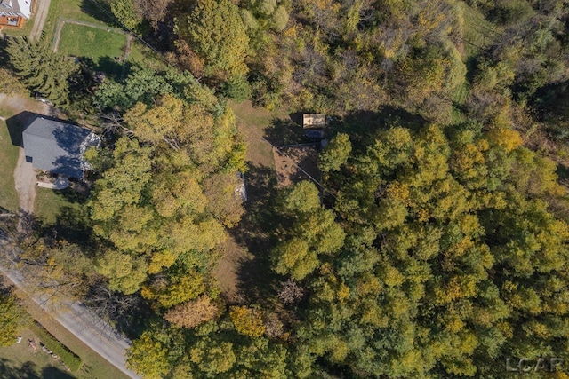 10623 Springville Hwy, Onsted, MI 49265 - aerial view of property's location