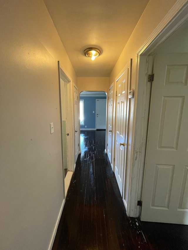 16500 Eastburn St, Detroit, MI 48205 - corridor with hardwood / wood-style floors, baseboards, and arched walkways
