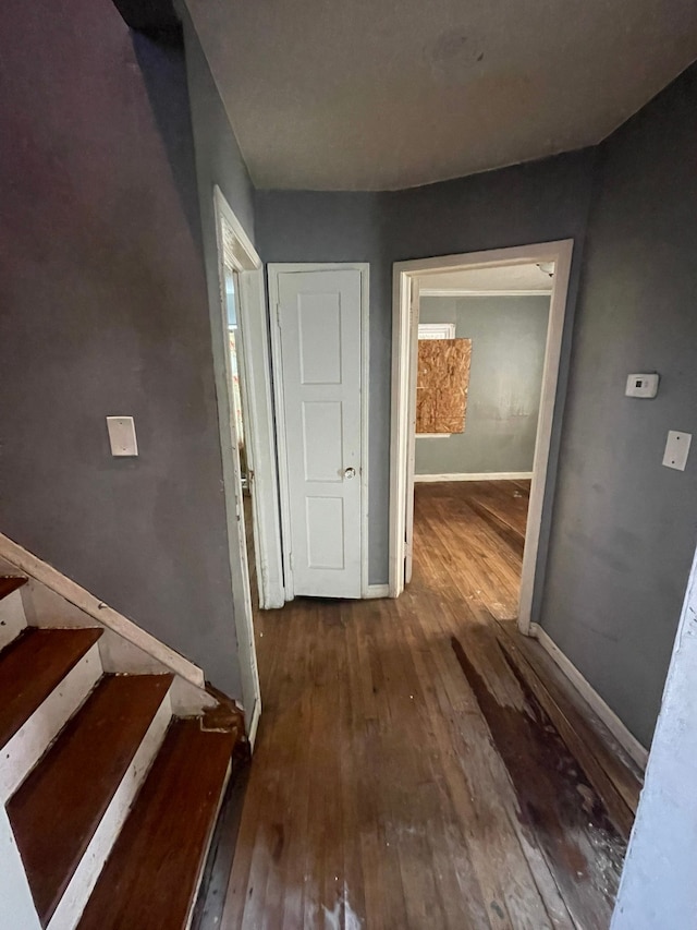10952 Peerless St, Detroit, MI 48224 - corridor with hardwood / wood-style flooring, baseboards, and stairs