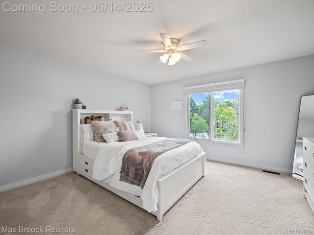 2906 Vineyards Dr, Troy, MI 48098 - photo 20