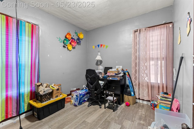 7295 Gartner St, Detroit, MI 48209 - office area featuring wood finished floors and a textured ceiling