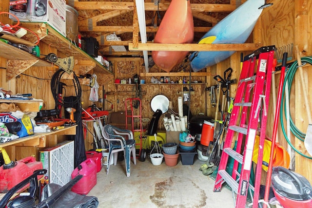 1797 Lawrence Dr, Bitely, MI 49309 - view of storage