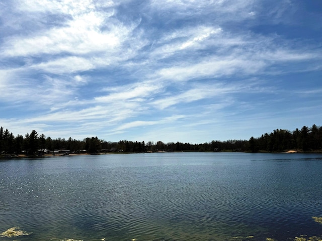 1797 Lawrence Dr, Bitely, MI 49309 - water view