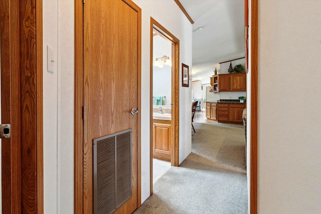 1797 Lawrence Dr, Bitely, MI 49309 - corridor with light carpet and a sink