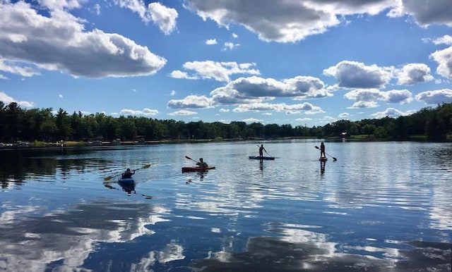 1797 Lawrence Dr, Bitely, MI 49309 - water view with a forest