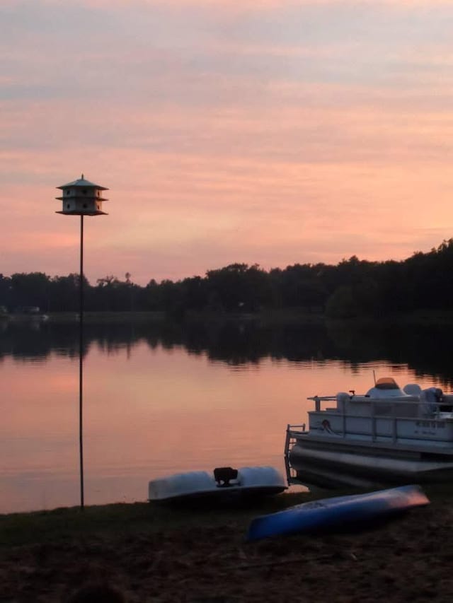1797 Lawrence Dr, Bitely, MI 49309 - water view featuring a boat dock