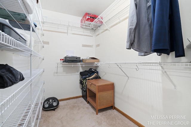 7359 Cascade Woods Dr SE, Grand Rapids, MI 49546 - spacious closet with carpet floors