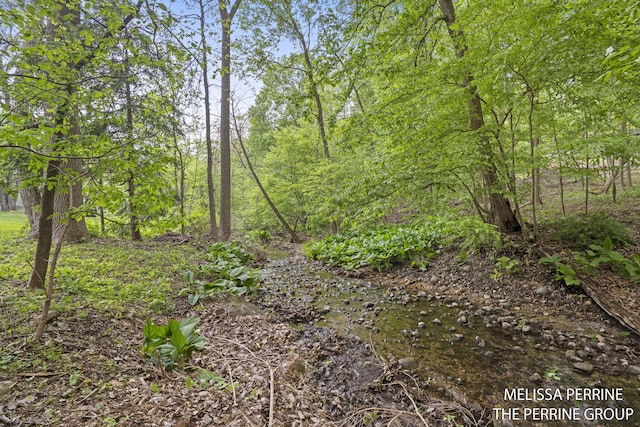 7359 Cascade Woods Dr SE, Grand Rapids, MI 49546 - view of local wilderness