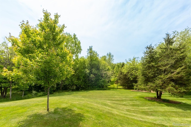 5502 E Alyssa Ct, White Lake, MI 48383 - view of green lawn